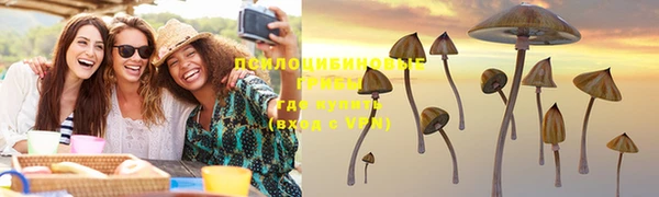 apvp Абдулино