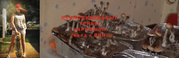 apvp Абдулино