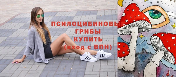 винт Абаза
