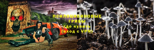 ешки Алексеевка
