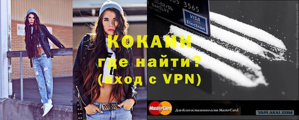 винт Абаза