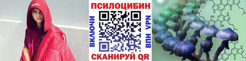 где купить наркотик  Алейск  Псилоцибиновые грибы мухоморы 